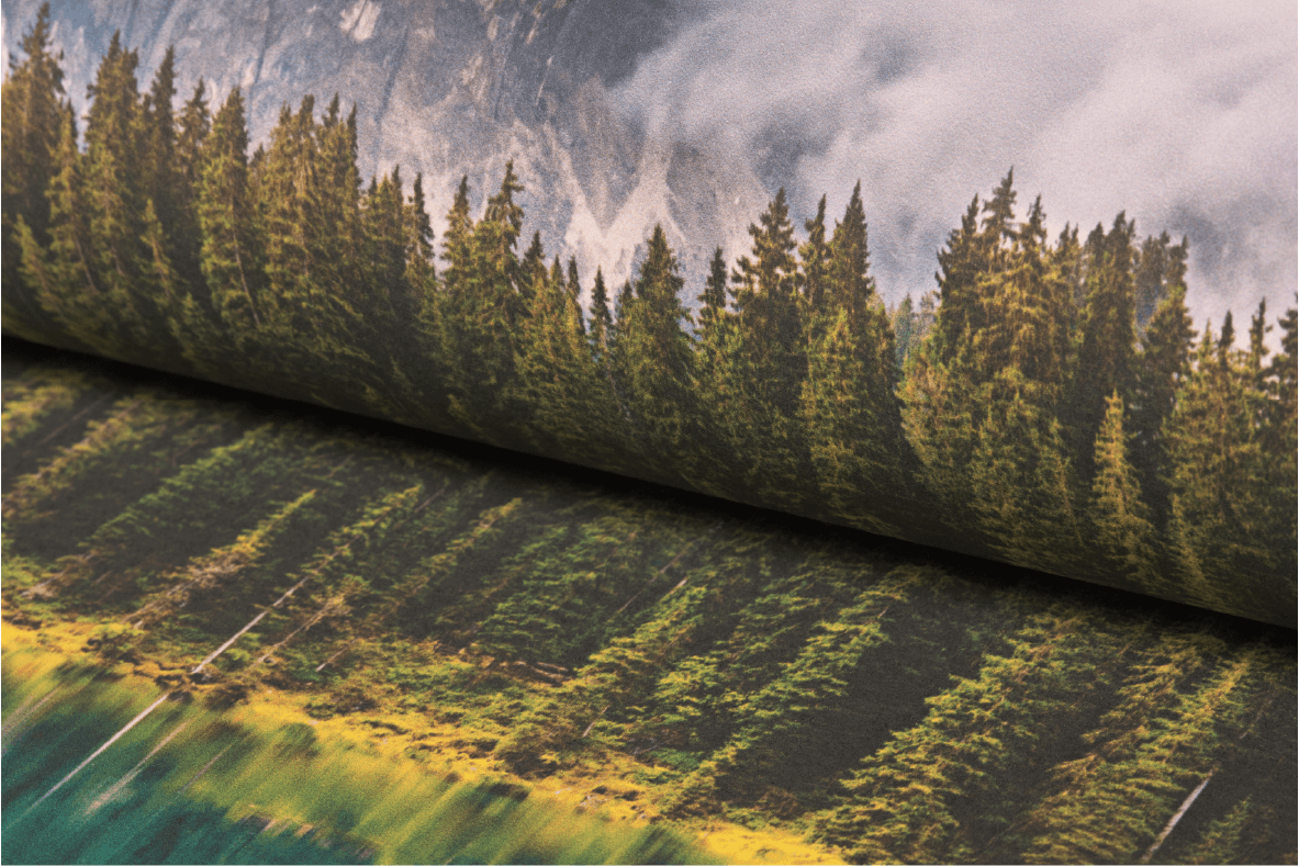 WallStar® Digital Matte Durable 240