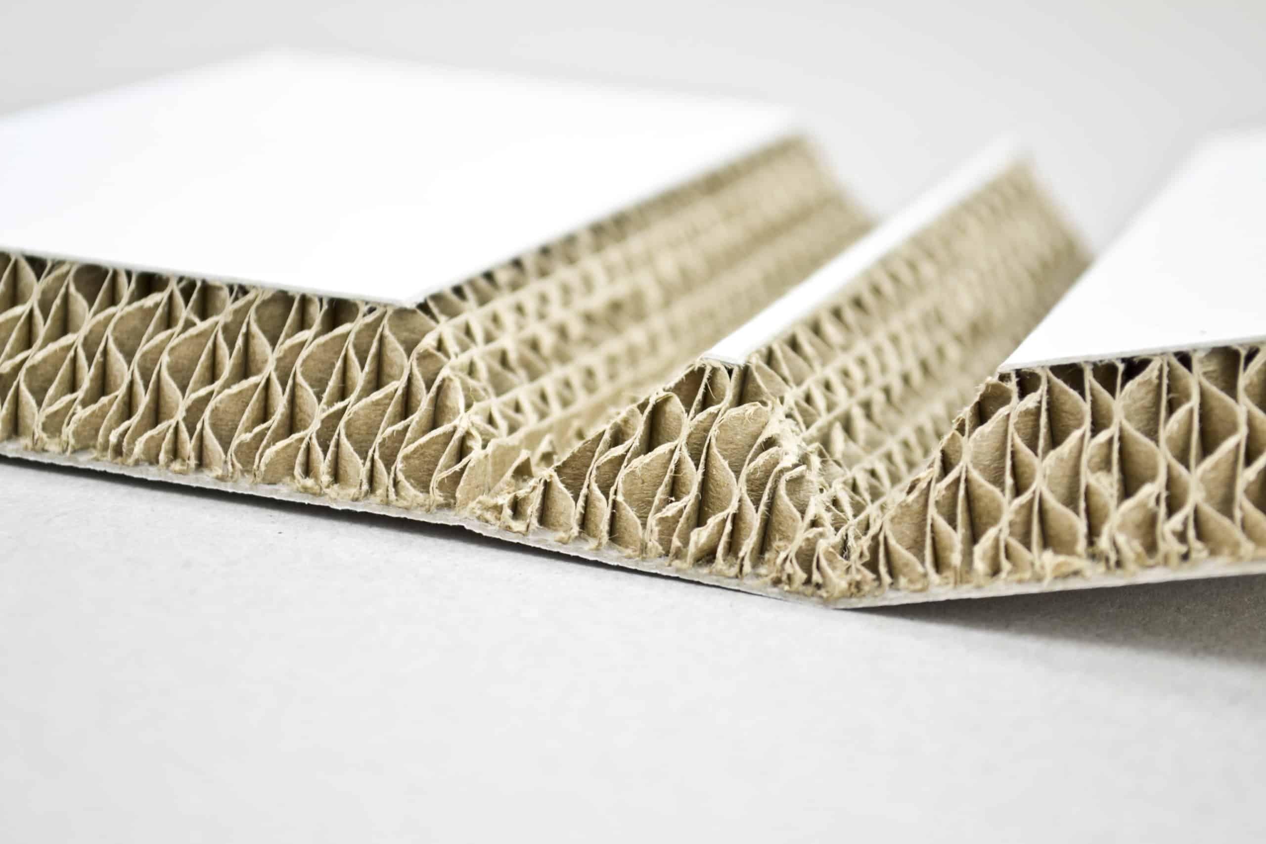 Xanita Print