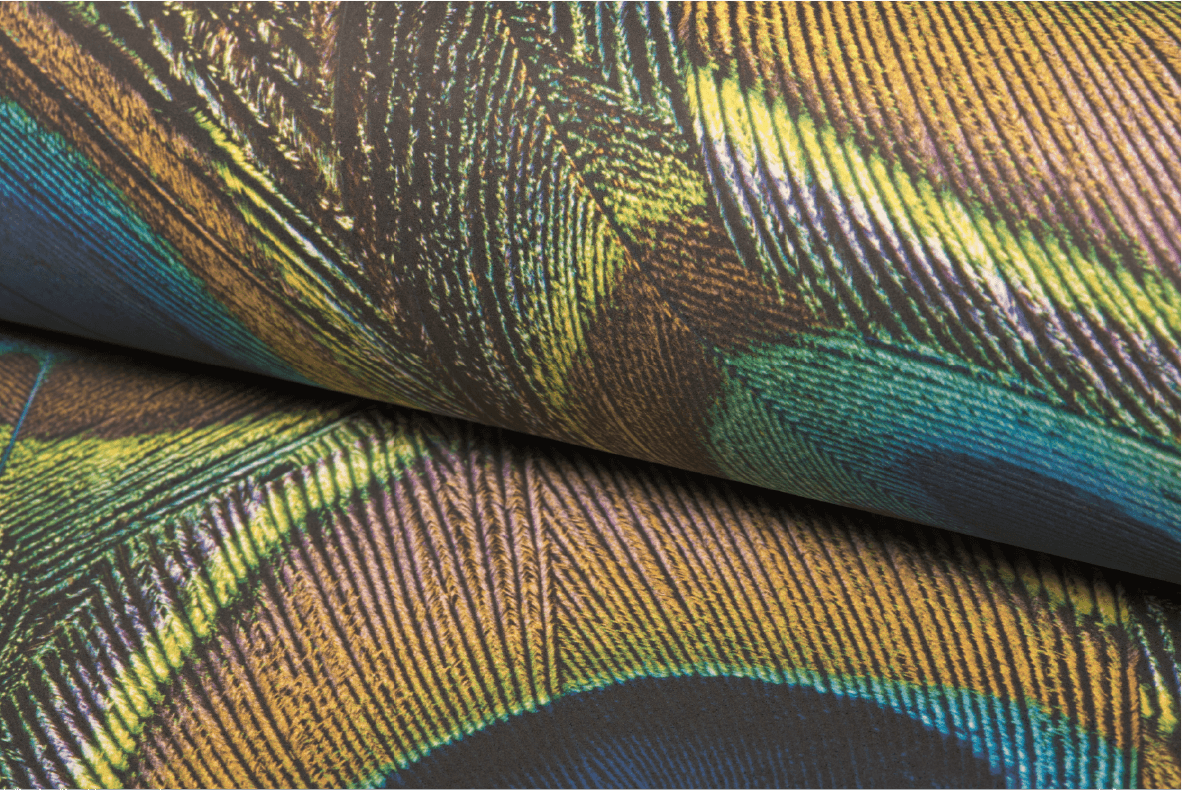 WallStar® Digital Matte 147